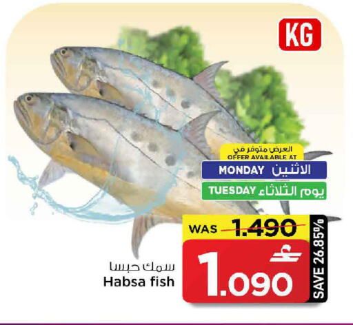 available at مارك & سايف in عُمان - مسقط‎