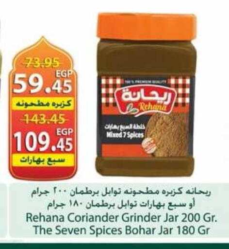 Coriander available at سبينس in Egypt - القاهرة