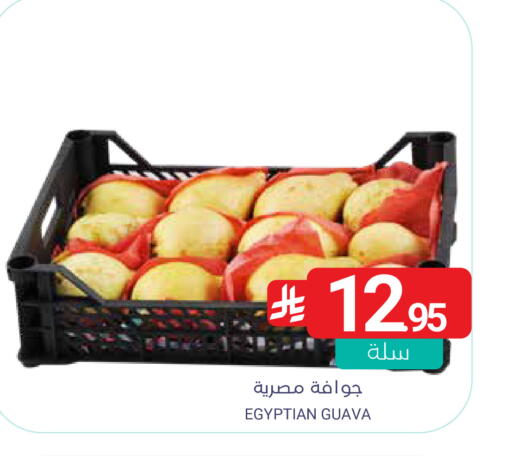 Guava from Egypt available at اسواق المنتزه in مملكة العربية السعودية, السعودية, سعودية - القطيف‎