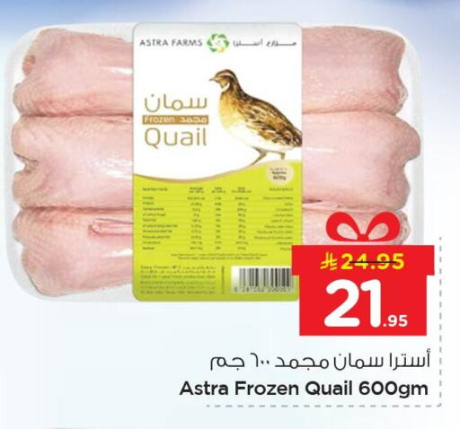 available at Nesto in KSA, Saudi Arabia, Saudi - Al Hasa