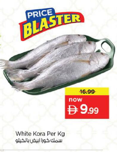 available at Nesto Hypermarket in UAE - Fujairah