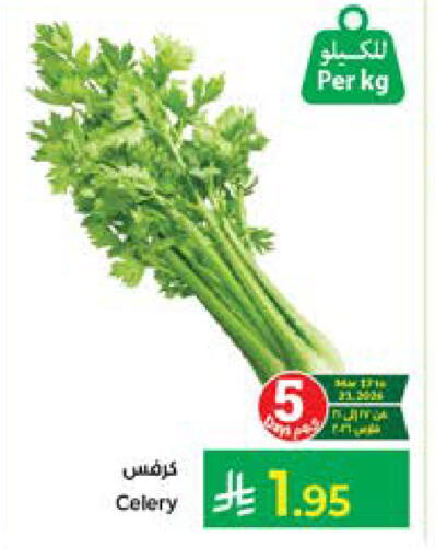 Celery available at Kabayan Hypermarket in KSA, Saudi Arabia, Saudi - Jeddah