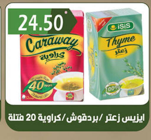 Caraway Thyme available at هايبر القدس in Egypt - القاهرة