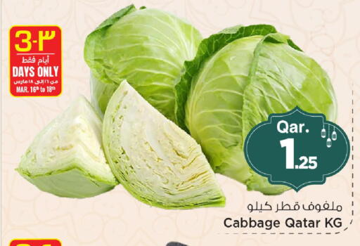 Cabbage from Qatar available at Mark & Save  in Qatar - Al Shamal