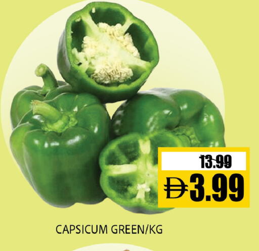 Capsicum available at Leptis Hypermarket  in UAE - Al Ain
