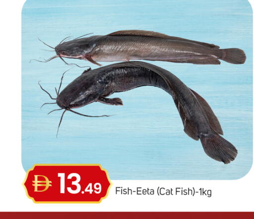 available at سوق طلال in الإمارات العربية المتحدة , الامارات - أبو ظبي