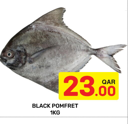 available at مجلس هايبرماركت in قطر - الريان