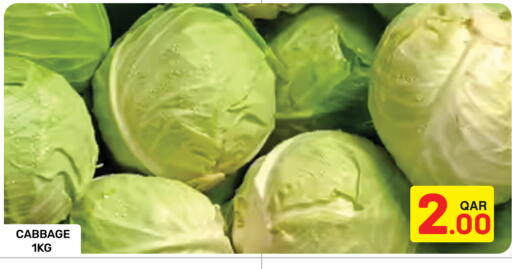 Cabbage available at مجلس هايبرماركت in قطر - الريان