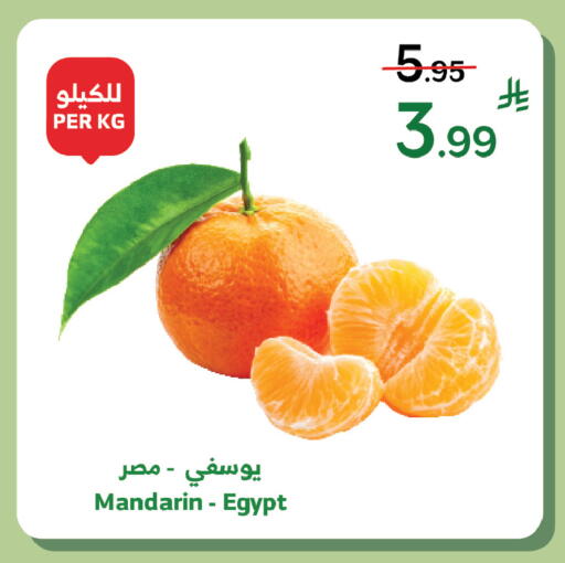 Mandarin from Egypt available at الراية in مملكة العربية السعودية, السعودية, سعودية - الطائف