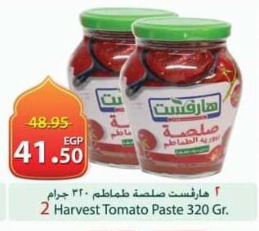 Tomato available at سبينس in Egypt - القاهرة