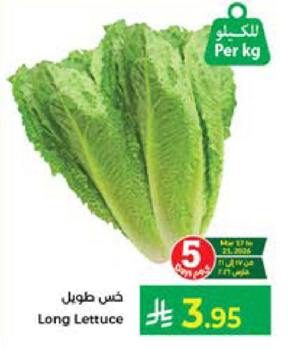 Lettuce available at Kabayan Hypermarket in KSA, Saudi Arabia, Saudi - Jeddah