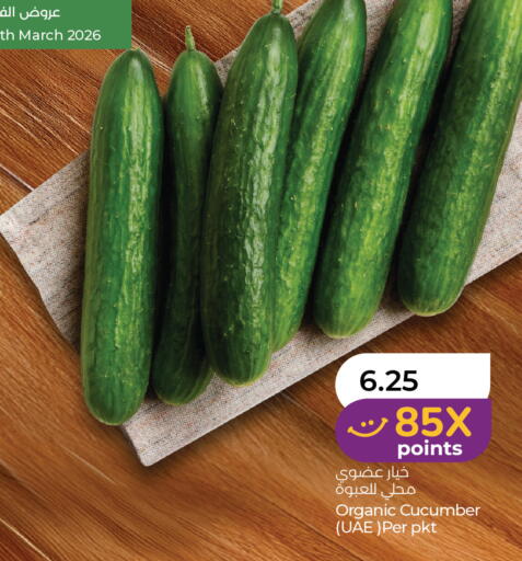 Cucumber available at Lulu Hypermarket in UAE - Al Ain