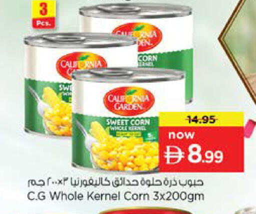 available at Nesto Hypermarket in UAE - Dubai
