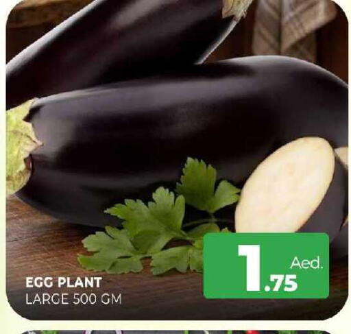 available at Al Madina  in UAE - Sharjah / Ajman