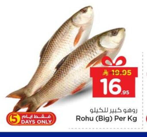 available at نستو in مملكة العربية السعودية, السعودية, سعودية - الرياض