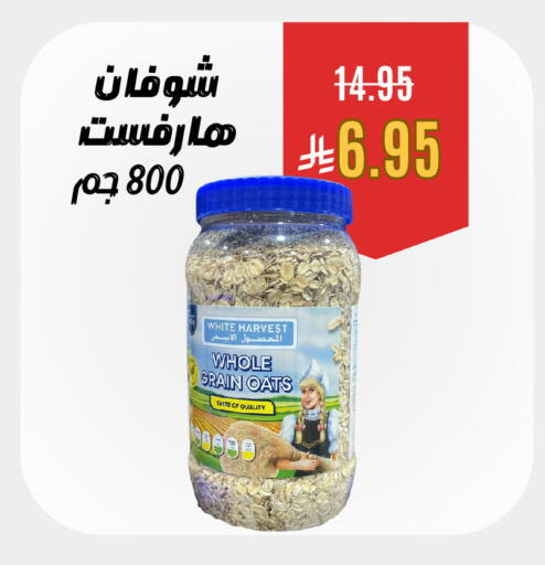 available at Economic Family in KSA, Saudi Arabia, Saudi - Yanbu