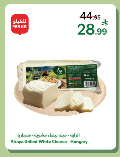 available at Al Raya in KSA, Saudi Arabia, Saudi - Tabuk
