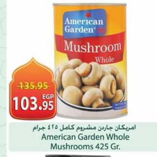 Mushroom available at Spinneys  in Egypt - Cairo