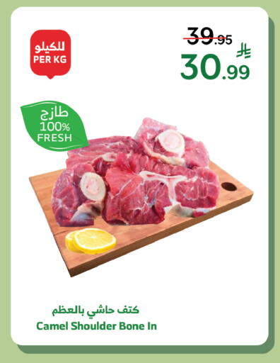 available at الراية in مملكة العربية السعودية, السعودية, سعودية - جدة