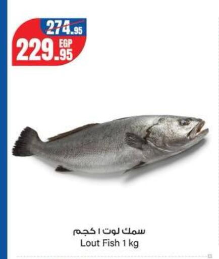 available at جيان مصر in Egypt - القاهرة