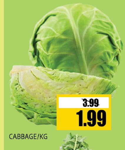 Cabbage available at Leptis Hypermarket  in UAE - Al Ain