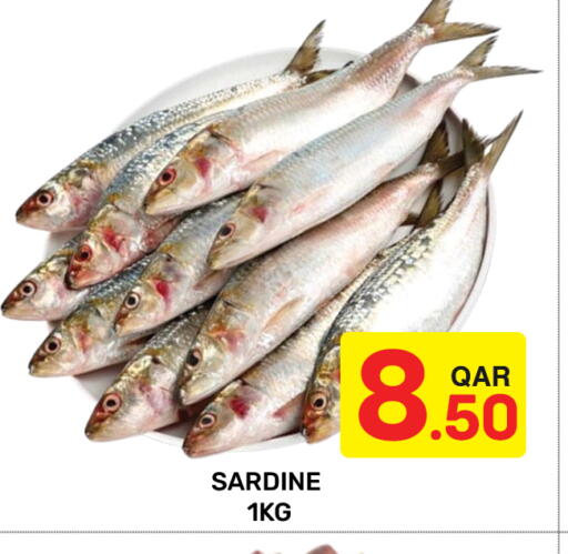 available at مجلس هايبرماركت in قطر - الريان