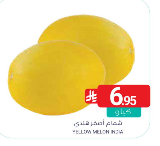 Melon from India available at اسواق المنتزه in مملكة العربية السعودية, السعودية, سعودية - القطيف‎