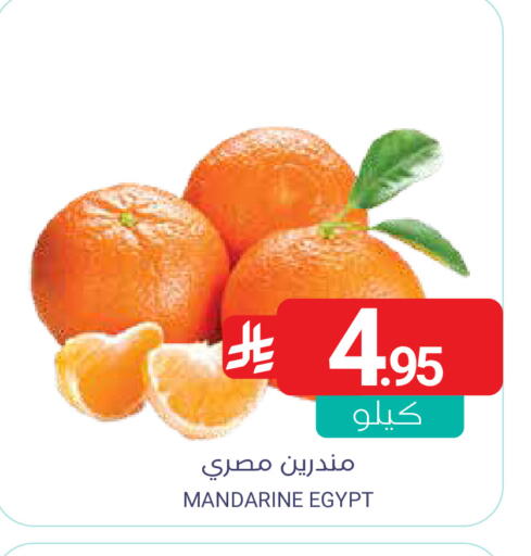 from Egypt available at اسواق المنتزه in مملكة العربية السعودية, السعودية, سعودية - القطيف‎