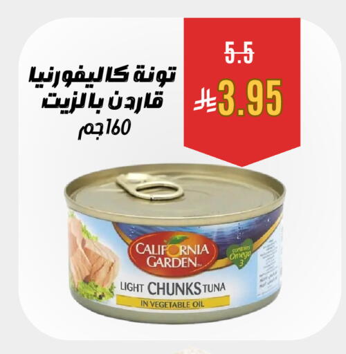 available at Economic Family in KSA, Saudi Arabia, Saudi - Yanbu