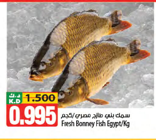 Mango available at Mango Hypermarket  in Kuwait - Kuwait City