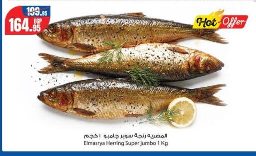 available at جيان مصر in Egypt - القاهرة