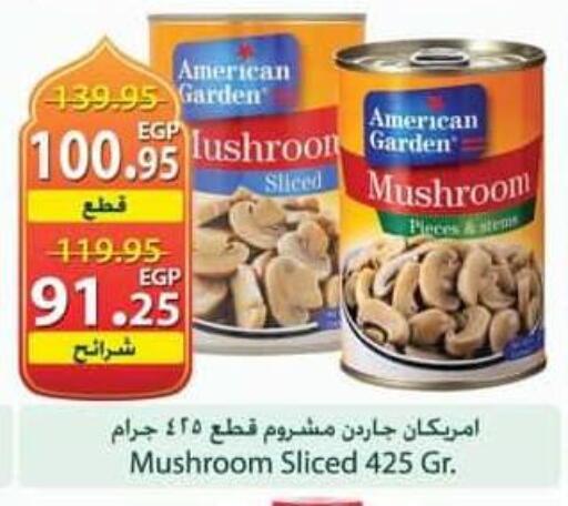 Mushroom available at Spinneys  in Egypt - Cairo