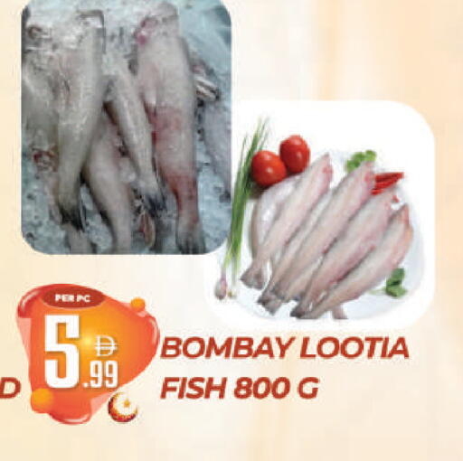 available at Dream Land in UAE - Dubai