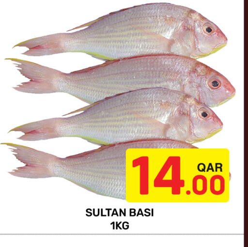 available at مجلس هايبرماركت in قطر - الريان