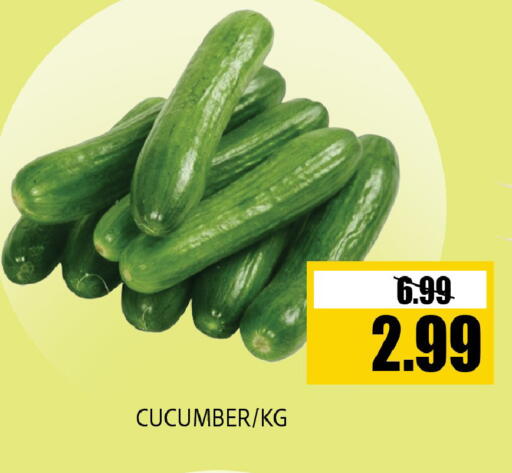 Cucumber available at Leptis Hypermarket  in UAE - Al Ain
