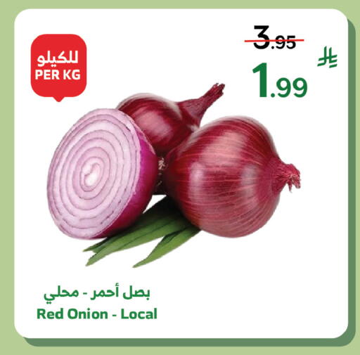Onion available at Al Raya in KSA, Saudi Arabia, Saudi - Tabuk