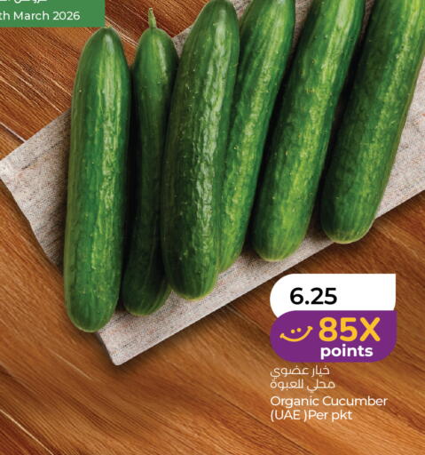 Cucumber available at لولو هايبرماركت in الإمارات العربية المتحدة , الامارات - أم القيوين‎