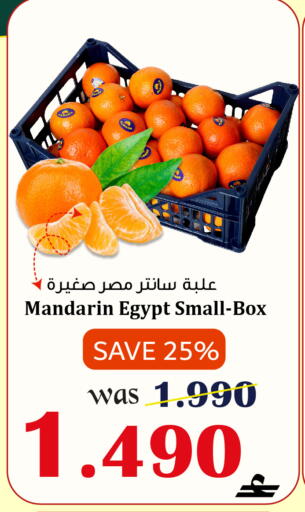 Mandarin from Egypt available at Al Muzn Shopping Center in Oman - Muscat