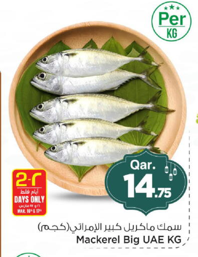 available at Mark & Save  in Qatar - Doha