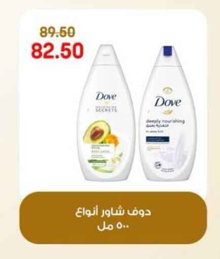 available at جيان مصر in Egypt - القاهرة