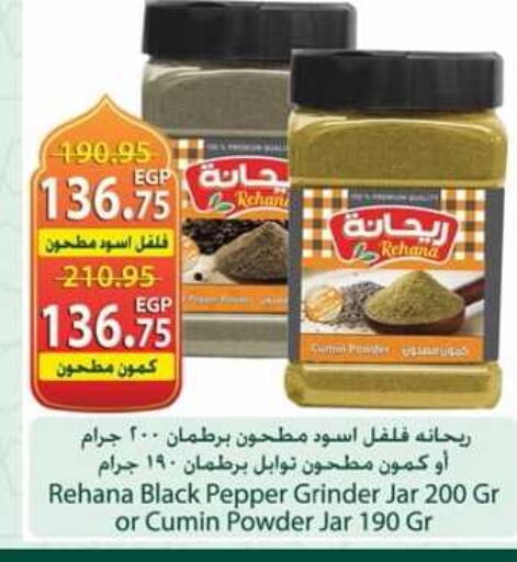 Cumin Pepper available at سبينس in Egypt - القاهرة