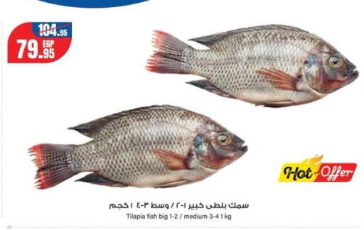 available at جيان مصر in Egypt - القاهرة