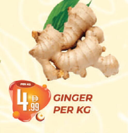 Ginger available at Dream Land in UAE - Dubai