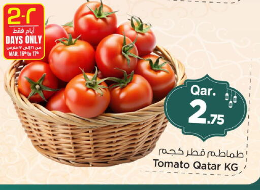 Tomato from Qatar available at Mark & Save  in Qatar - Al Shamal