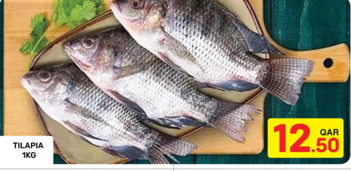 available at مجلس هايبرماركت in قطر - الريان