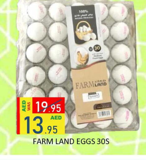 available at ROYAL GULF HYPERMARKET LLC in UAE - Abu Dhabi