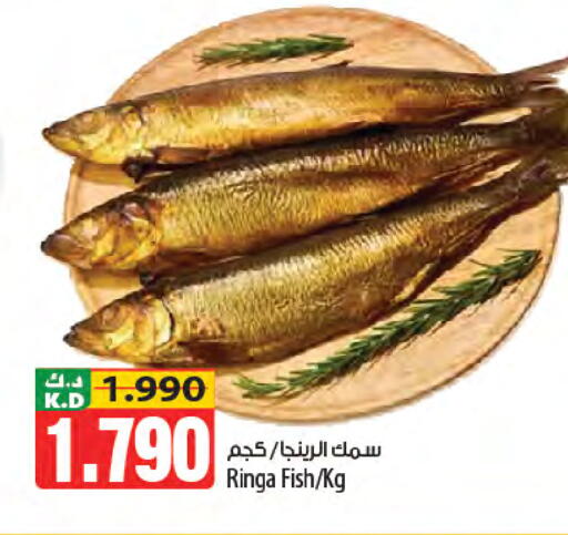 Mango available at Mango Hypermarket  in Kuwait - Ahmadi Governorate