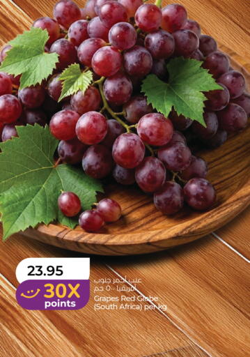 Grapes from South Africa available at Lulu Hypermarket in UAE - Abu Dhabi