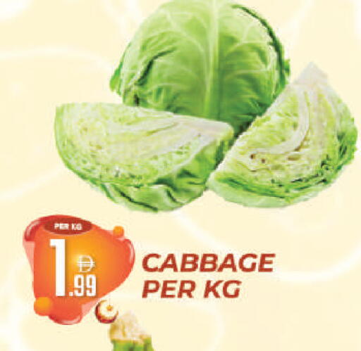 Cabbage available at Dream Land in UAE - Dubai
