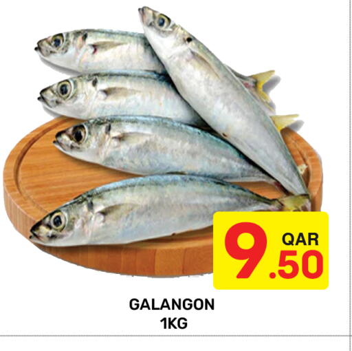 available at مجلس هايبرماركت in قطر - الريان